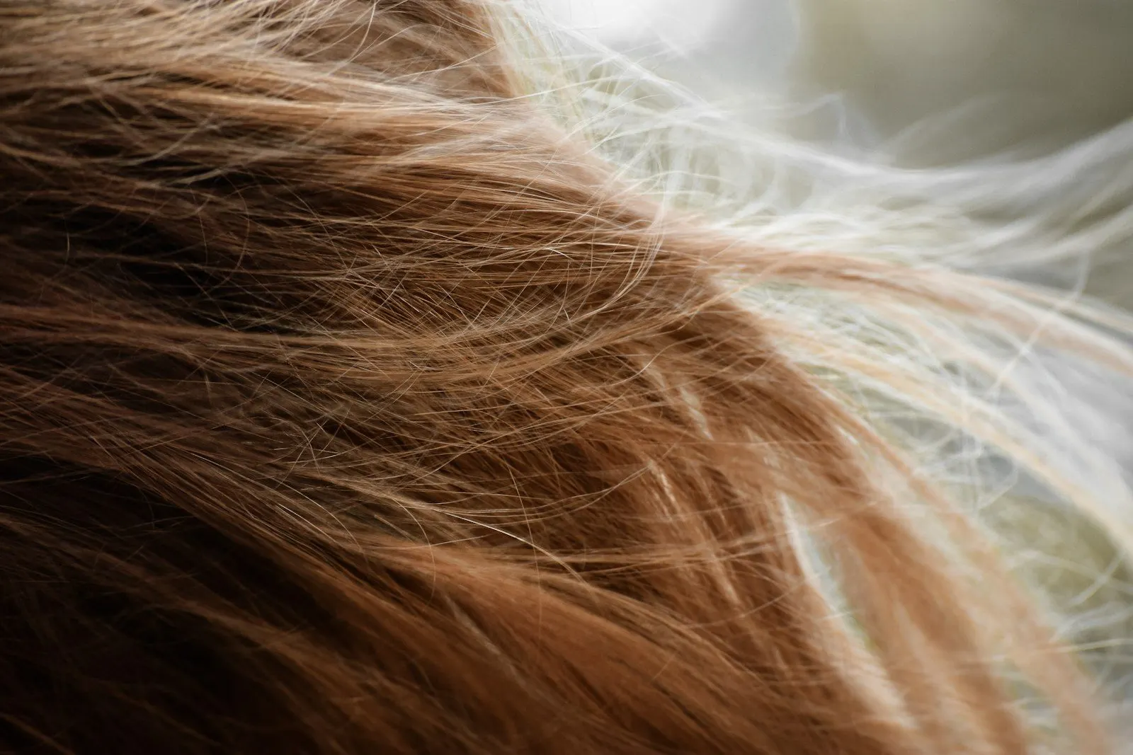 Cabello claro con frizz antes del tratamiento